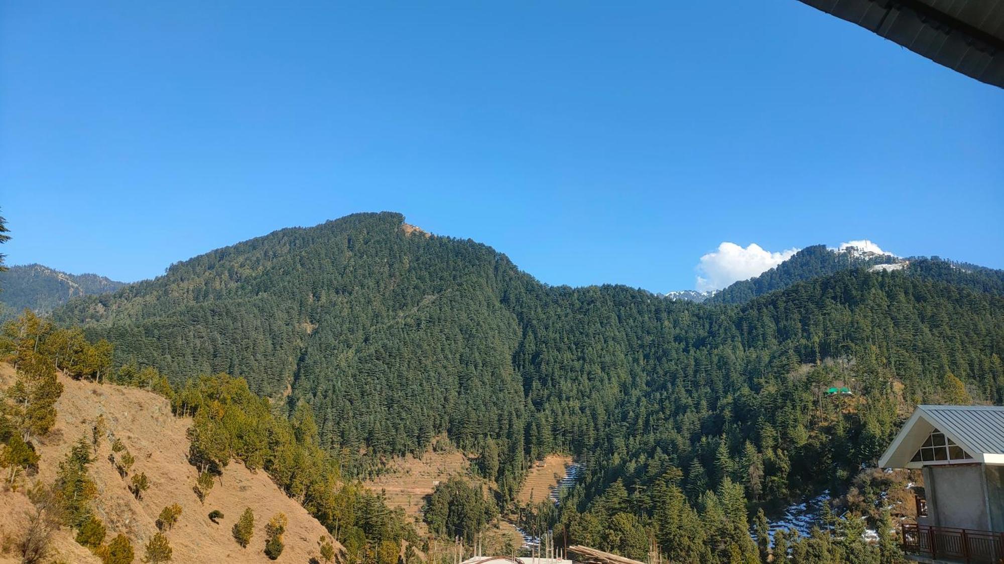 Hotel Cozy Haven Mandi Exterior photo